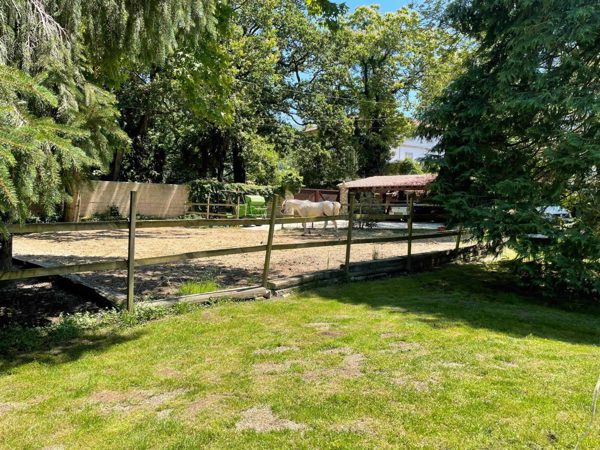 Esles Casa Cordoba Bed & Breakfast エクステリア 写真
